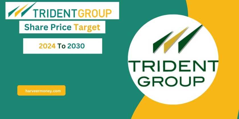 Trident Share Price Target 2024,2025,2026,2027,2028 And 2030